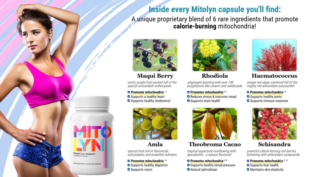 mitolyn ingredients